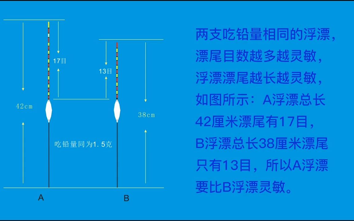 (4)浮漂漂尾目数直径与灵敏度之间的关系.哔哩哔哩bilibili