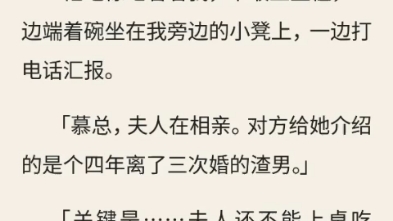 (爱慕)完结哔哩哔哩bilibili