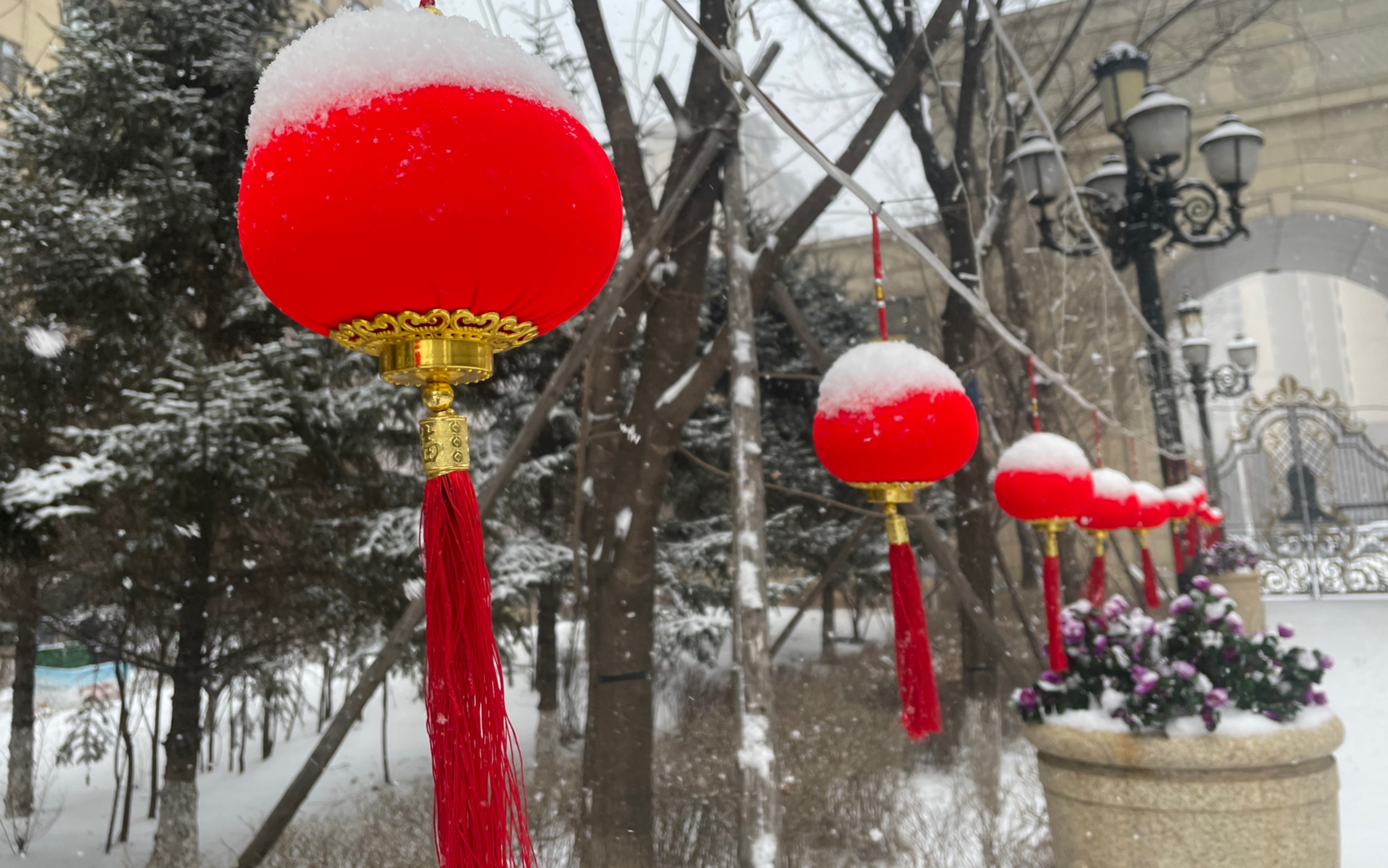 春节过年下雪心情图片