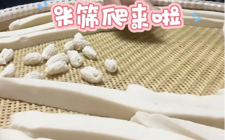 浦江美食之米筛爬哔哩哔哩bilibili