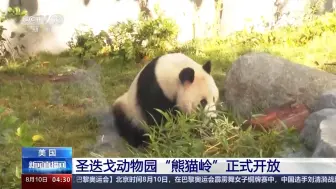 Скачать видео: 【云川鑫宝】美国 圣迭戈动物园“熊猫岭”正式开放