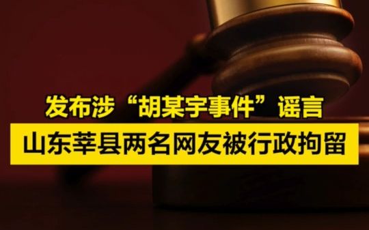 发布涉“胡某宇事件”谣言,山东莘县两名网友被行政拘留哔哩哔哩bilibili