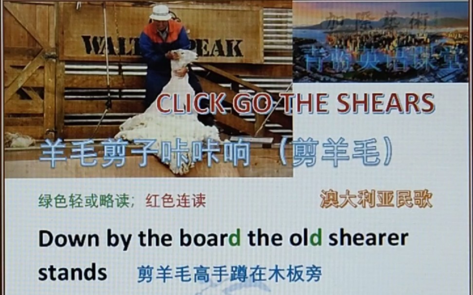 [图]剪羊毛 羊毛剪子咔咔响 Click go the shears 澳大利亚民歌