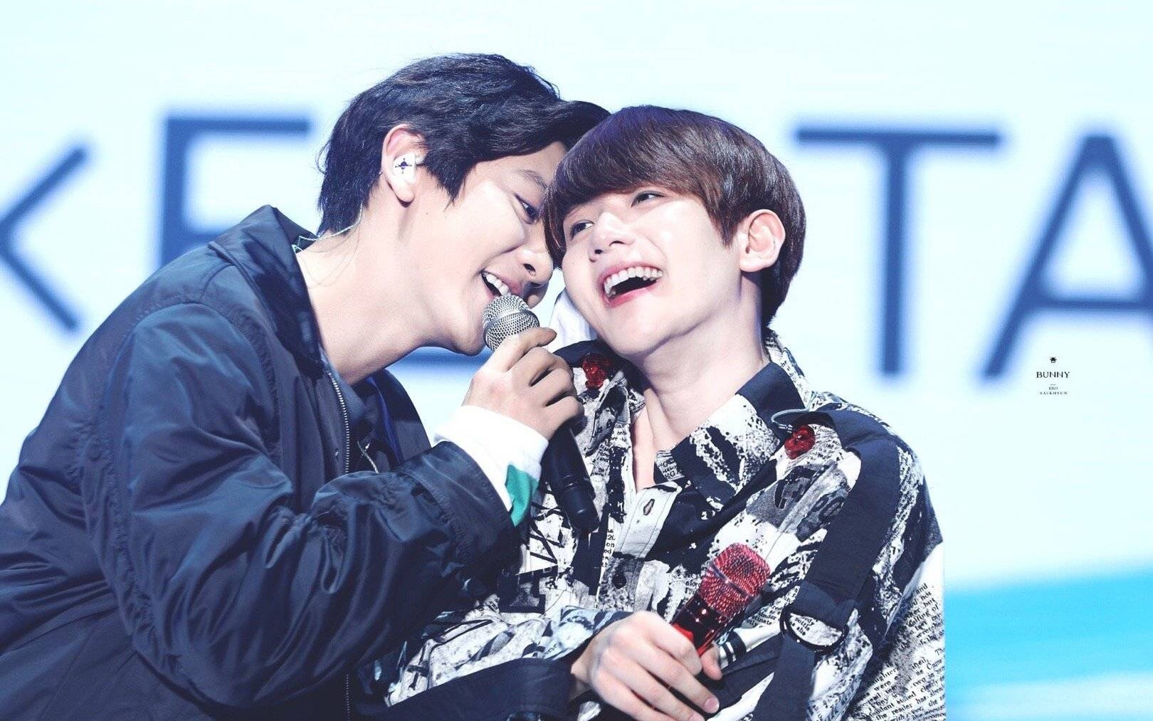 不嗑了_哔哩哔哩 (゜-゜)つロ 干杯~-bilibili