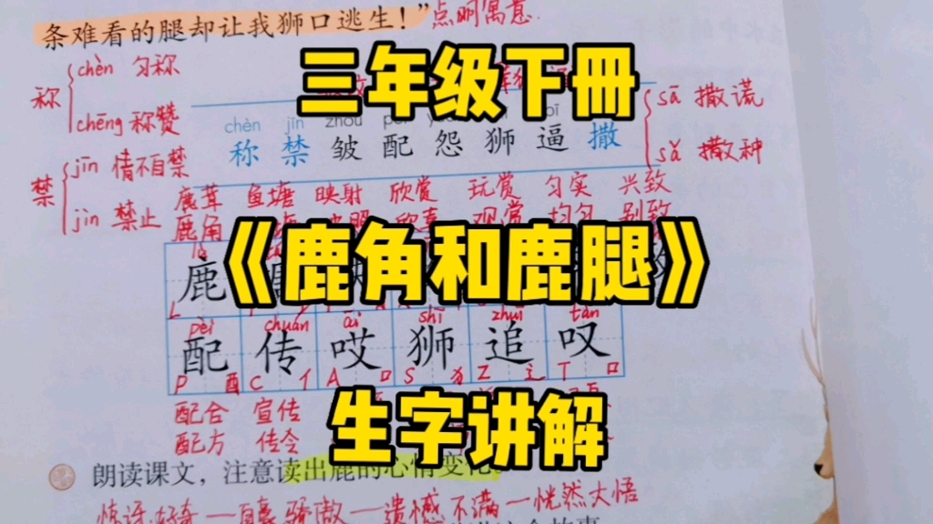 [图]三年级语文下册：《鹿角和鹿腿》生字讲解，认识更多生字学习更轻松哦！