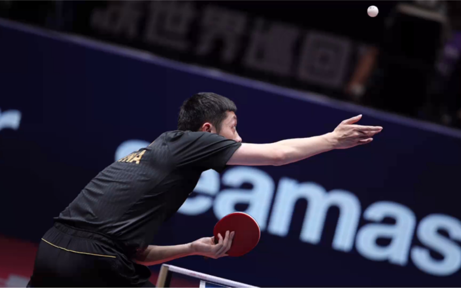 左手直板最后的倔强-许昕