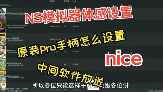 【模拟器体感设置】龙神 yuzu 模拟器体感设置 无NS模式手柄设置简单方便下集