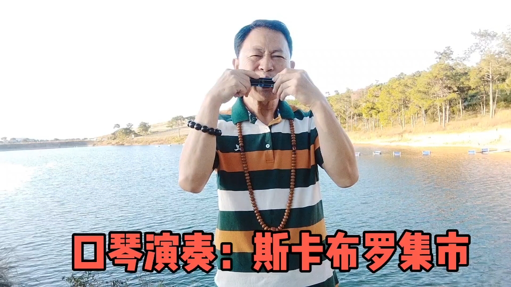口琴清吹演奏:斯卡布罗集市