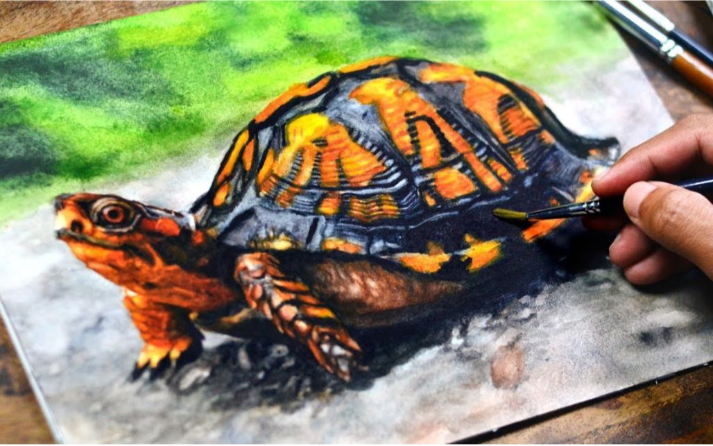 水彩水彩日常系列画一只水彩熔岩龟哦不是水彩乌龟