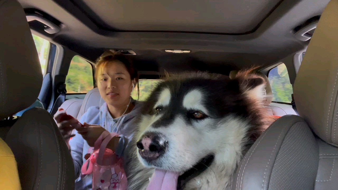 有没有人和我一样喜欢滇西小哥的大王_哔哩哔哩_bilibili