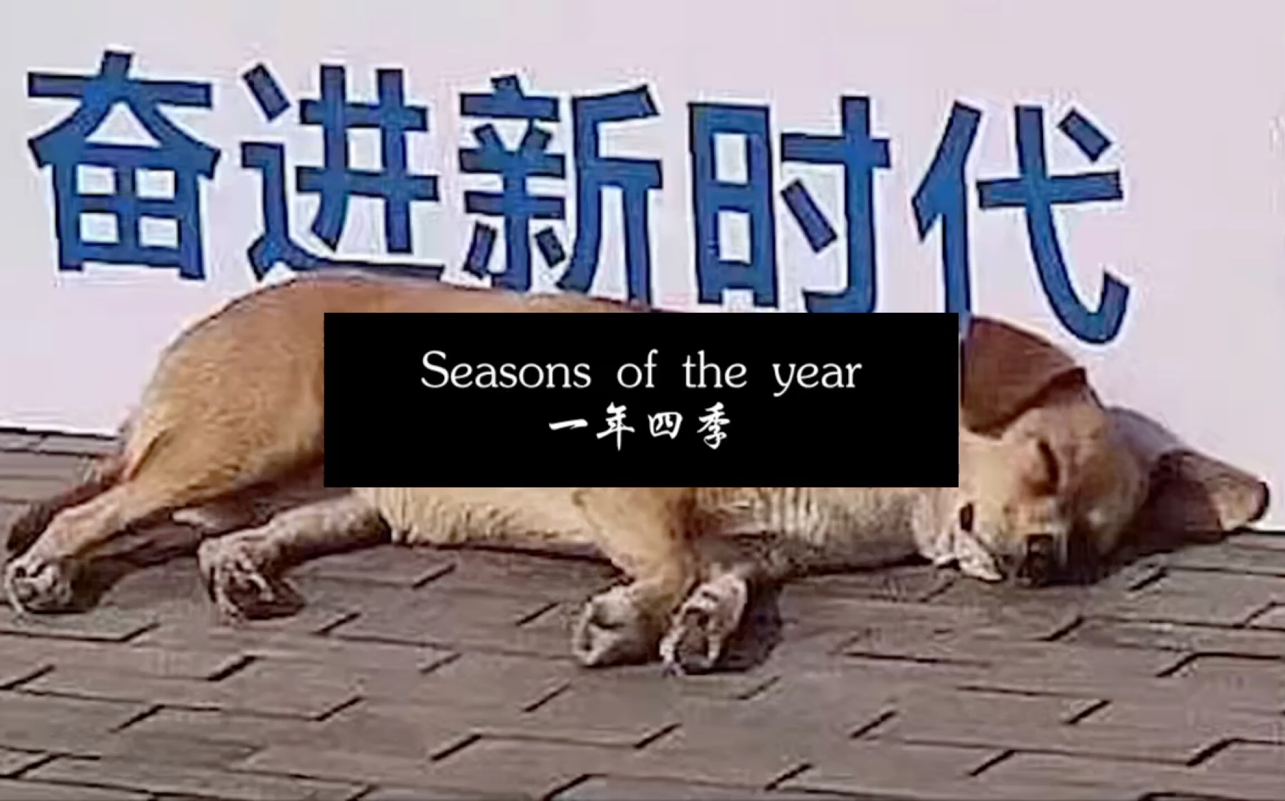 [图]Seasons of the year一年四季（诗歌翻译，求指导）