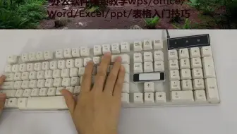 电脑表格制作初学教程，WPS表格制作教程，Word办公软件
