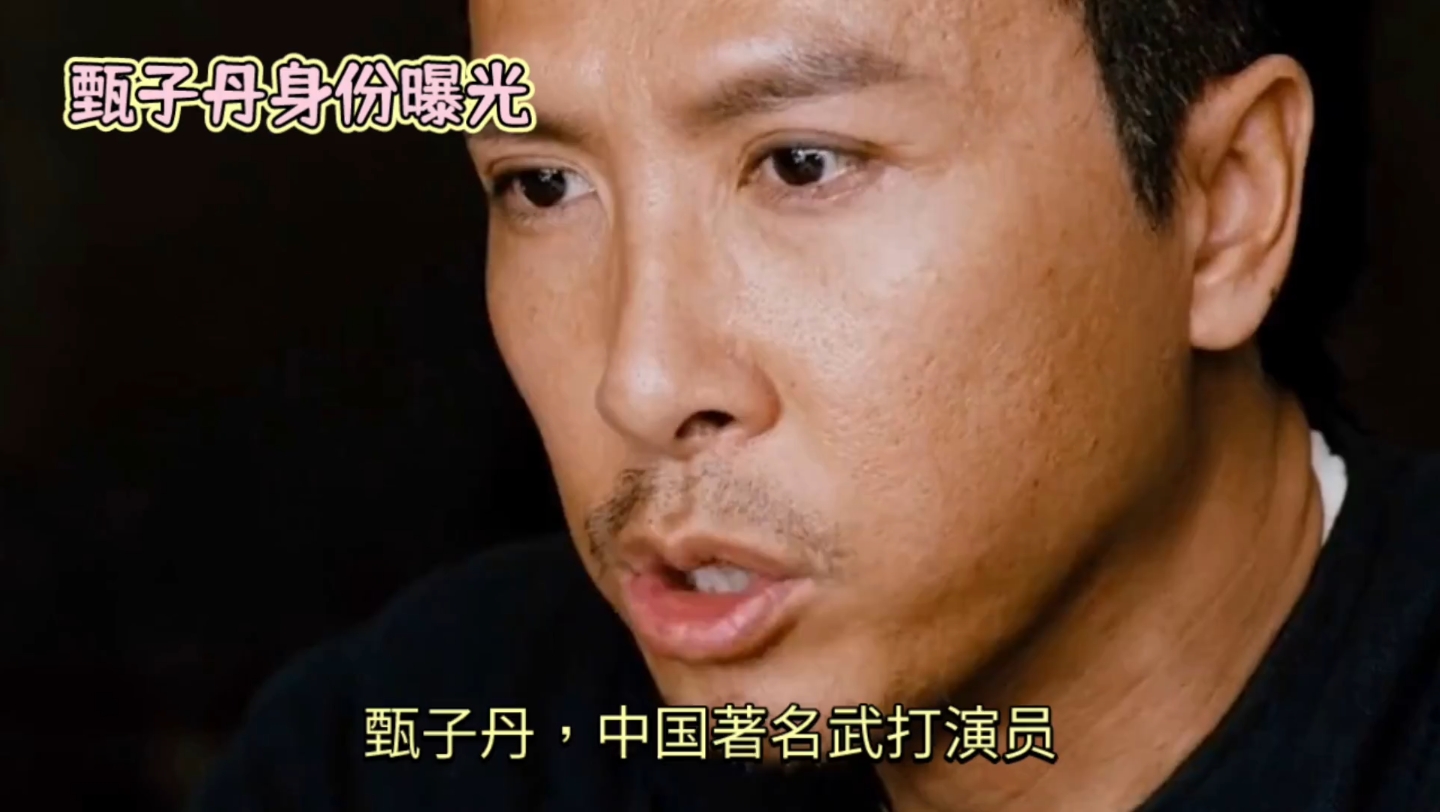 甄子丹:香港现役最有价值的武打演员,叶问一打十,就是他说的