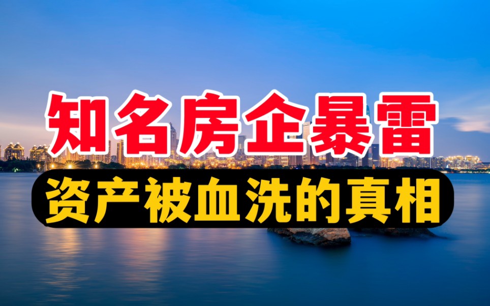 知名房企暴雷!资产被血洗的真相哔哩哔哩bilibili