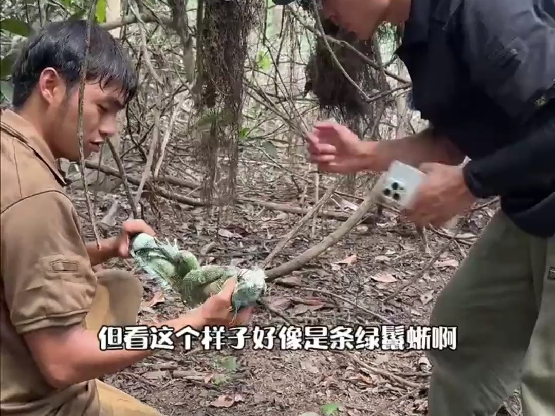 巴布亚塞兰群岛生存结束后,我们来到了南美洲亚马逊雨林,准备开始一期雨林生存,第一天就搞到猛货哔哩哔哩bilibili