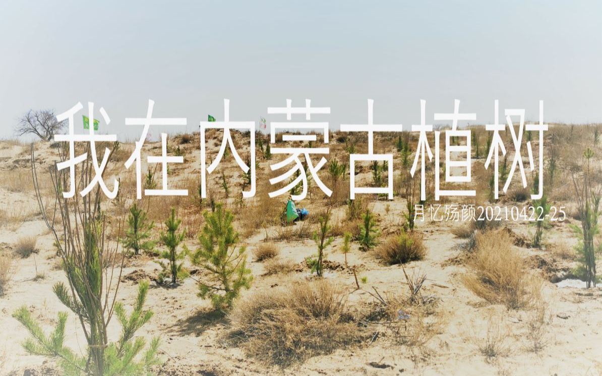 【月忆殇颜】我在内蒙古植树.2021哔哩哔哩bilibili