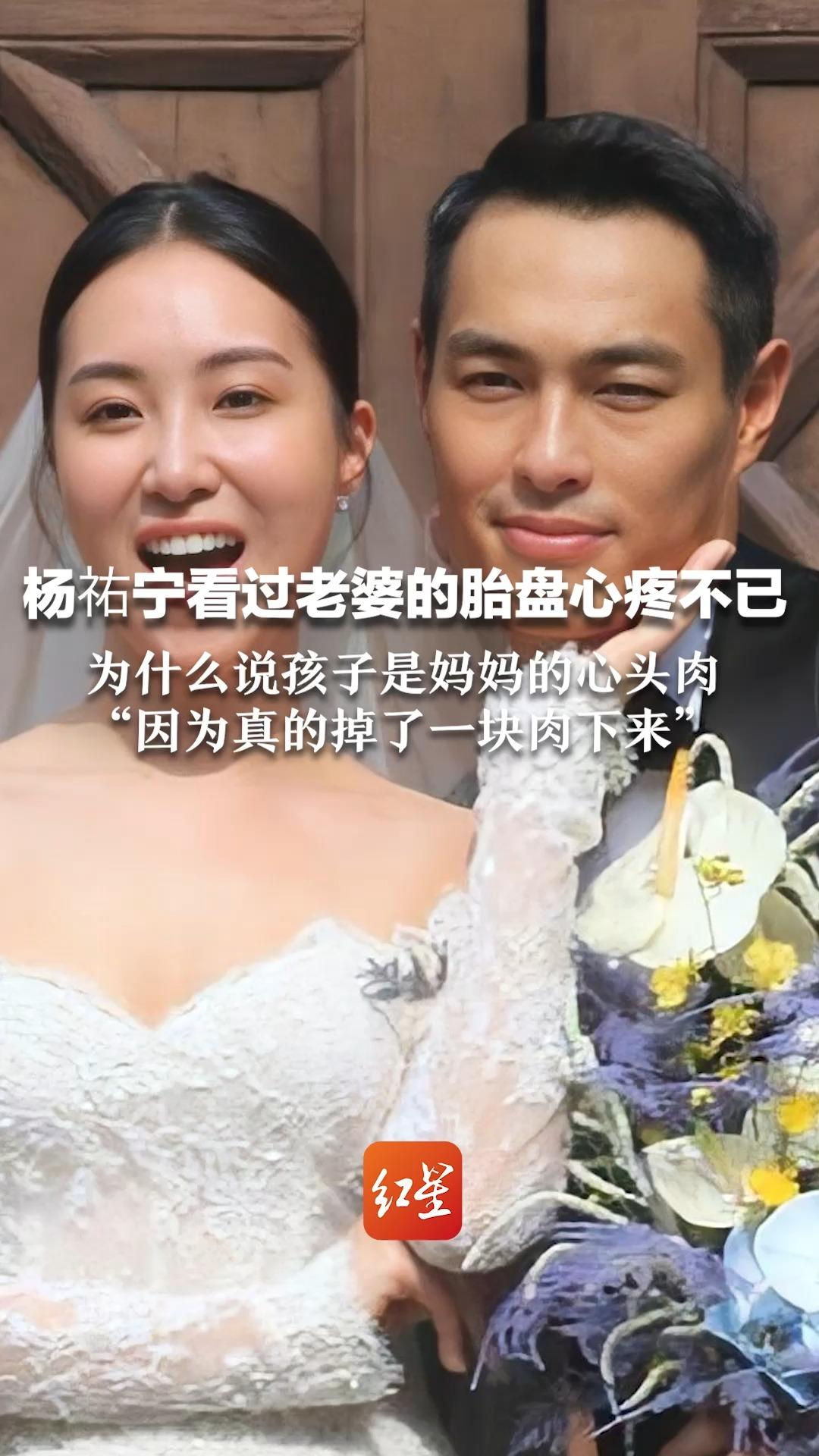 杨祐宁看过老婆的胎盘心疼不已,为什么说孩子是妈妈的心头肉“因为真的掉了一块肉下来”哔哩哔哩bilibili