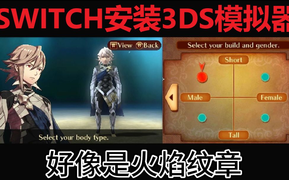 [图]SWITCH大气层系统安装3DS模拟器测试