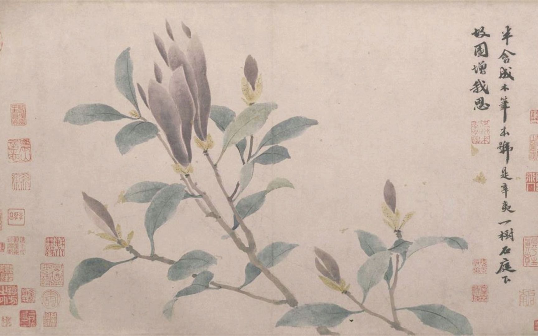 明 沈周 辛夷墨菜图 高清国画原作细节欣赏 传统没骨花鸟画