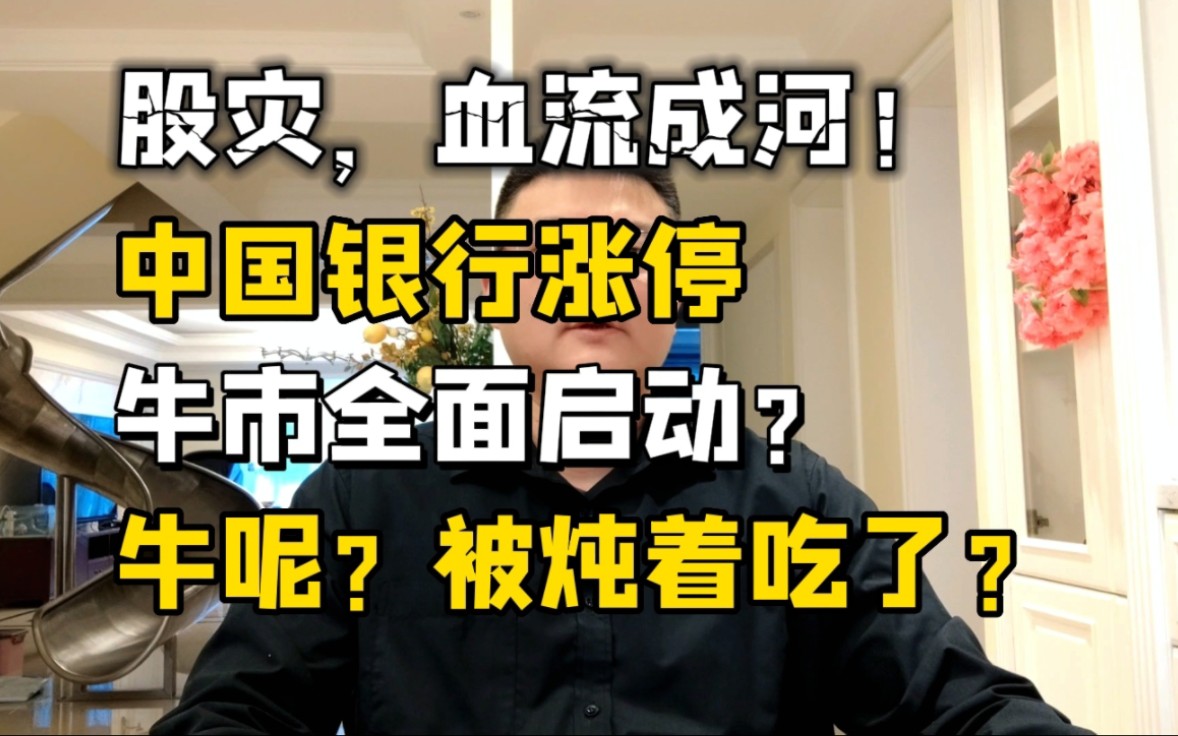 血流成河!中国银行涨停,全面牛市启动?牛呢?炖着吃了?哔哩哔哩bilibili