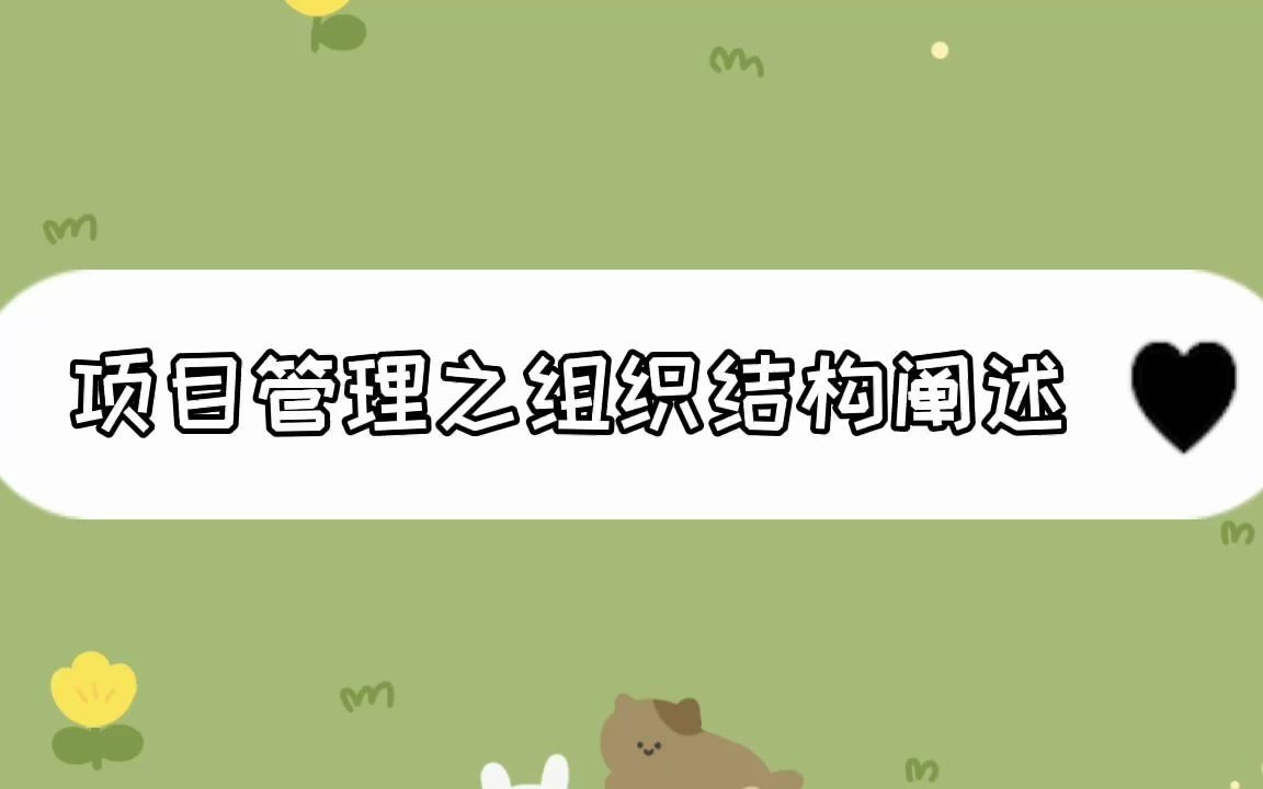 【PMP考前培训】什么是组织结构?|知识点14哔哩哔哩bilibili