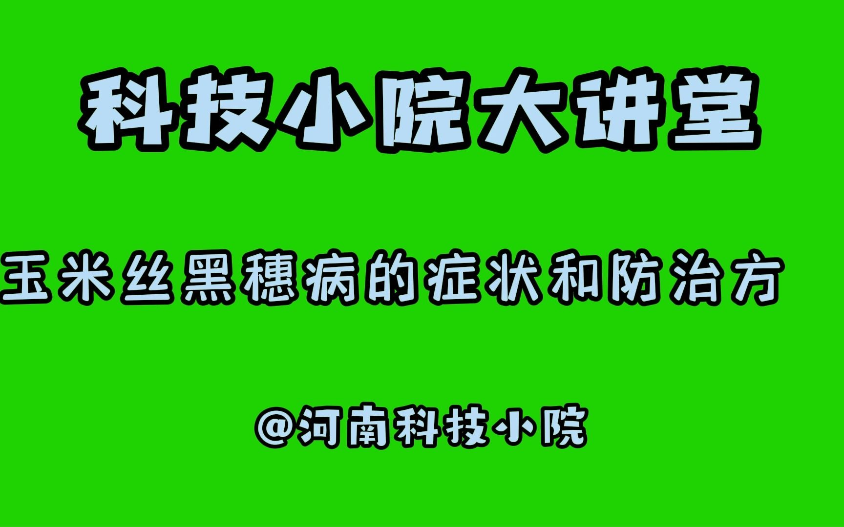 【科技小院大讲堂】玉米黑穗病的症状和防治方法哔哩哔哩bilibili