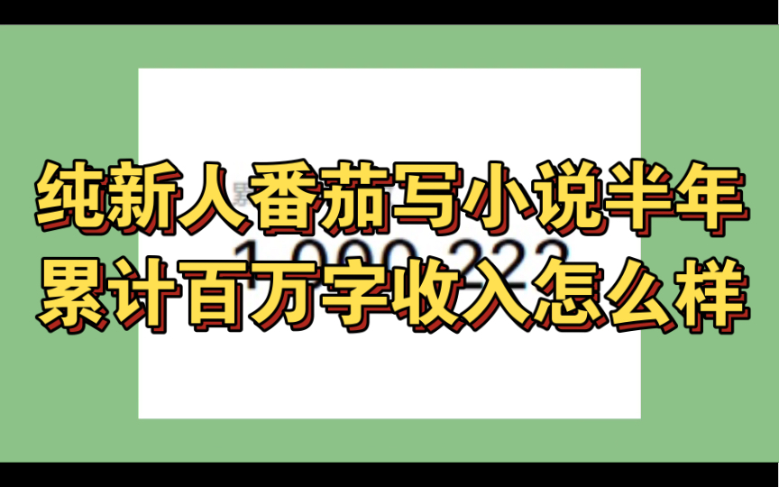 纯新人在番茄写小说半年累计百万字,收入怎么样?哔哩哔哩bilibili