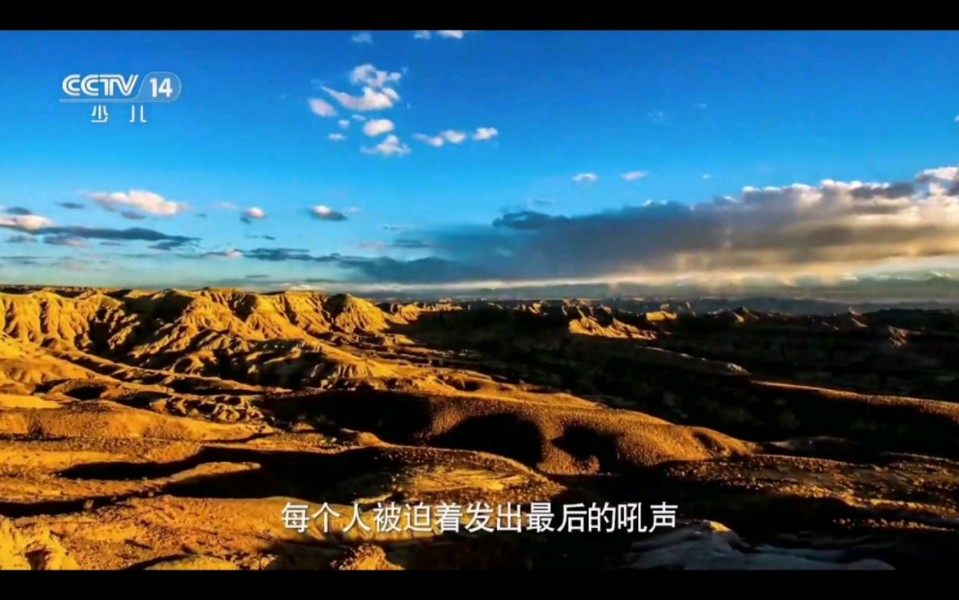 20240629 CCTV14 开台哔哩哔哩bilibili