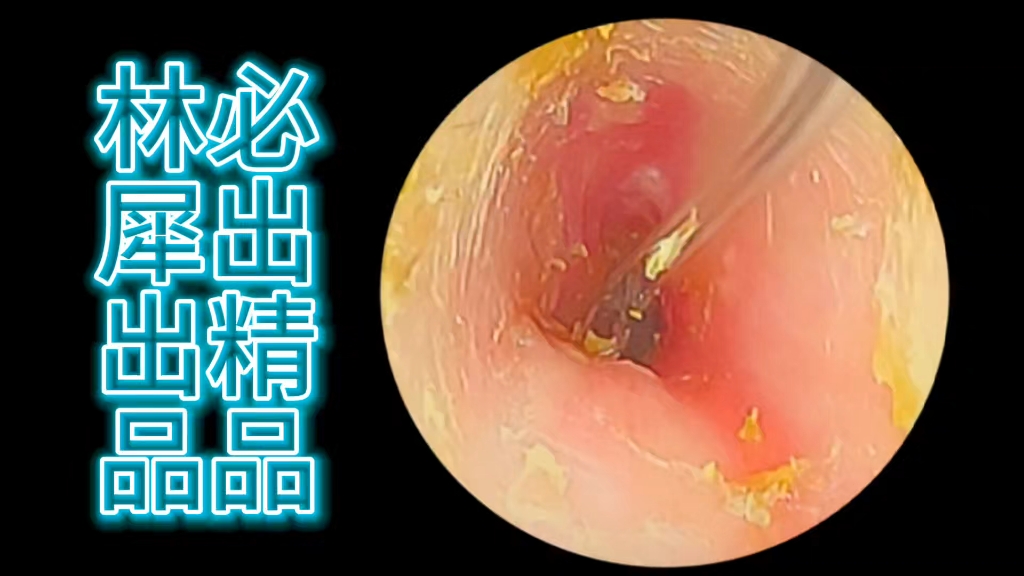 回重庆创业,重庆的伙伴,介绍一下位置,谢谢哔哩哔哩bilibili