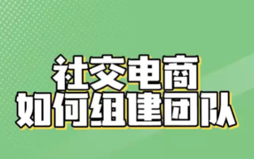 社交电商快速组建团队有那些方法?社交电商有哪些平台可以组建团队呢哔哩哔哩bilibili