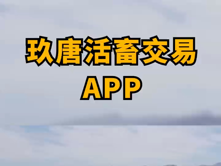 玖唐活畜交易APP以先进技术及多元功能体系,成为养殖户得力伙伴,为畜牧领域注入强劲动力.拥有玖唐活畜交易APP,养殖之路必将 “牛” 气冲天,畅...