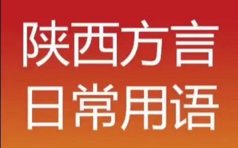 【方言知识】陕西方言日常语哔哩哔哩bilibili