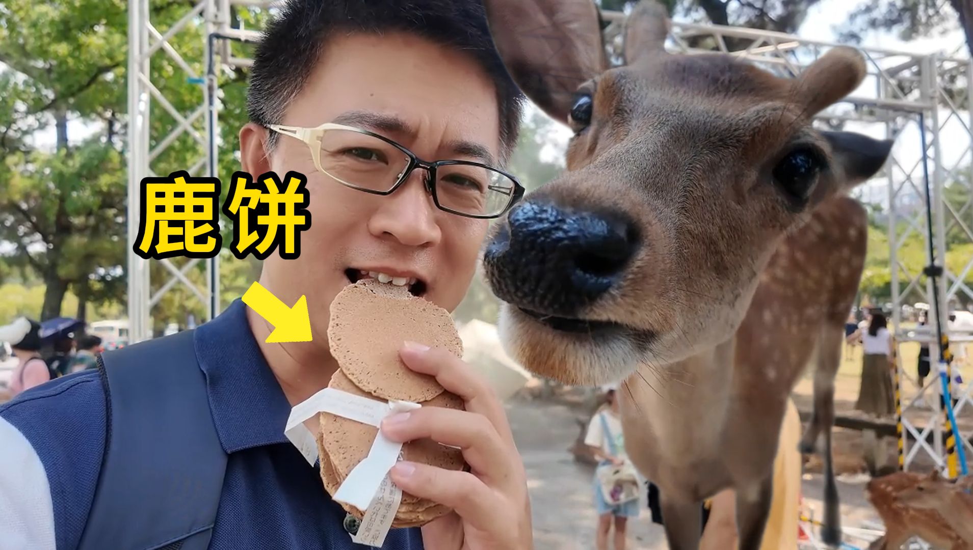 鹿饼有多好吃?被鹿咬有多疼?奈良告诉你!|旅行vlog|日本旅行|奈良|鹿|日本美食|日本生活|宠物|动物园|东大寺|春日大社|野哥|环球旅行第十五站——奈良哔...