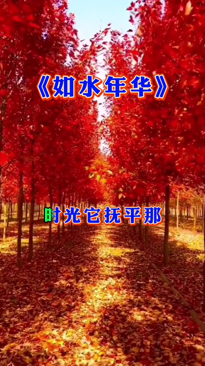 好歌推荐如水年华