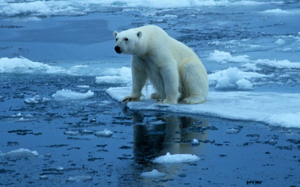 [图]【National Geographic】Global Warming自制字幕