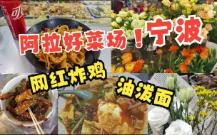 Download Video: 港风菜市场 | 菜市场系列#02 | 宁波阿拉菜场 | 阿拉炸鸡 | 黄记螺蛳粉 | 油泼面 | 不知名鲜花摊