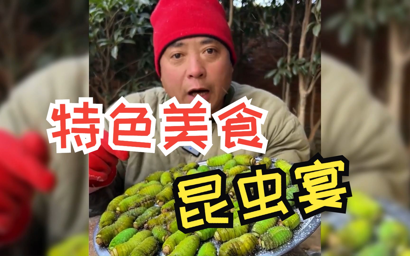 特色美食昆虫宴,除了第一个其他的我都不敢吃,最后一个貌似小强