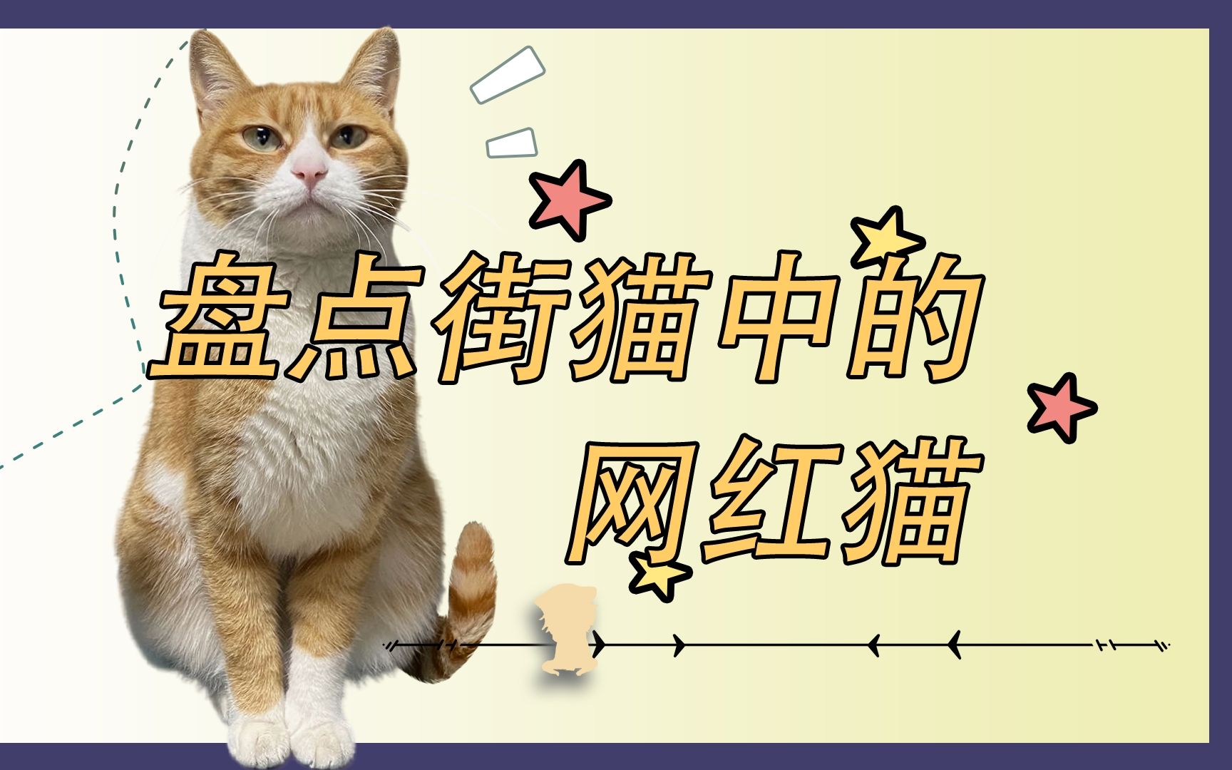 今天盘点街猫中那些大名鼎鼎的网红流浪猫猫哔哩哔哩bilibili