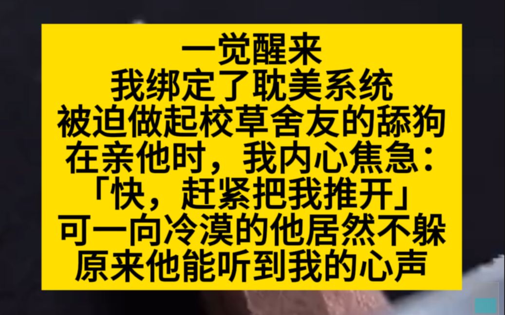 【原耽推文】一觉醒来,我绑定了耽美系统,被迫做了校草室友的舔狗哔哩哔哩bilibili