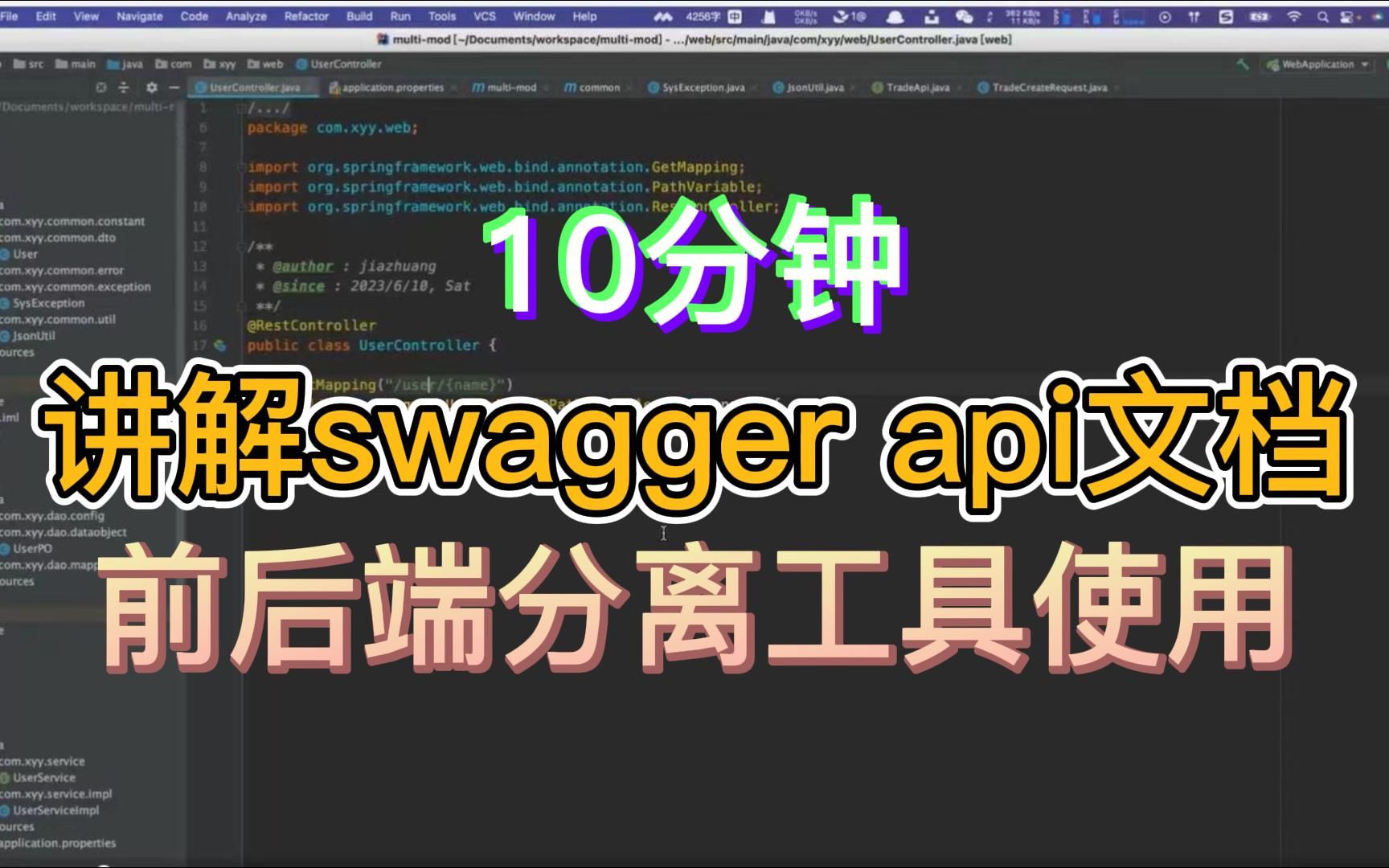 10分钟讲解swagger api文档、前后端分离工具使用哔哩哔哩bilibili