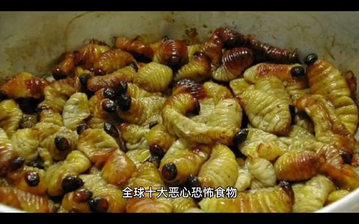 全球十大恶心恐怖食物哔哩哔哩bilibili