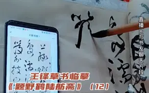 Download Video: 王铎草书临摹，《题野鹤陆舫斋》书写片段，第12部分