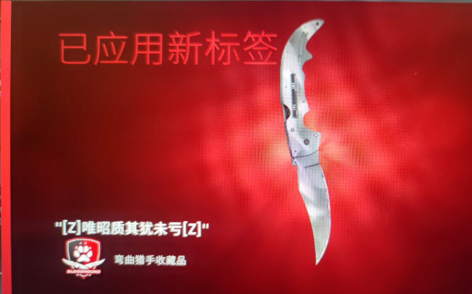 csgo性价比高的刀,实惠好看 都市伪装系列弯刀沙城2实机演示 磨损度检视图对比 立刀小彩蛋 新物品获得界面 改名标签界面 炫酷暗灰+冷白“0.15极限小略...