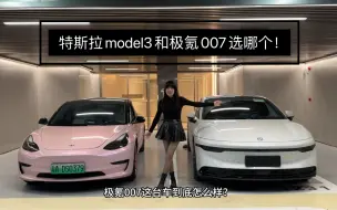 Download Video: 特斯拉model3车主体验极氪007！