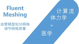 网格划分软件操作-MESHING