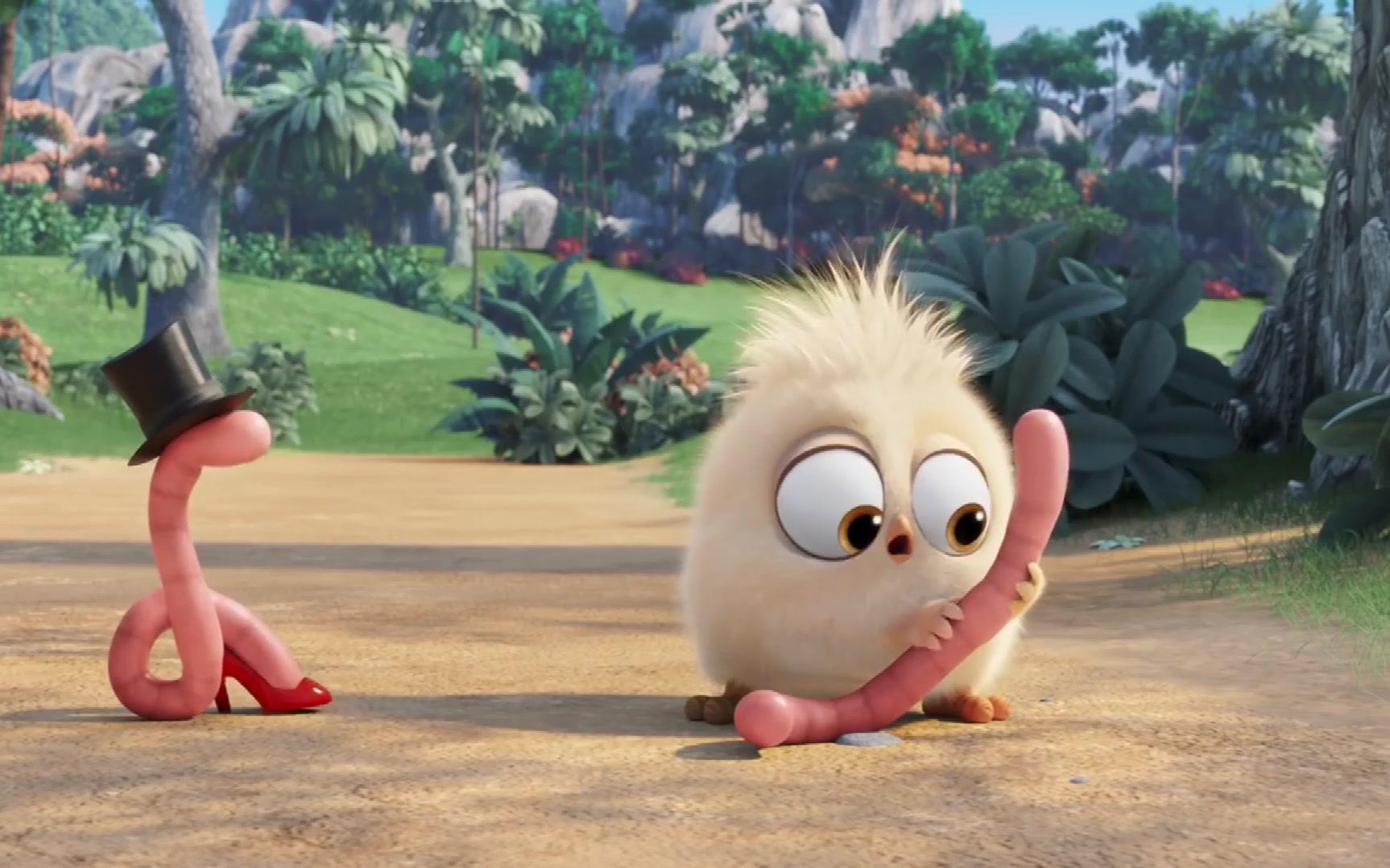 经典动画片,一只小鸡和一只虫虫的故事,一对特殊的小伙伴