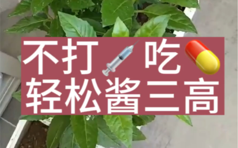 不吃白片,轻松降高哔哩哔哩bilibili