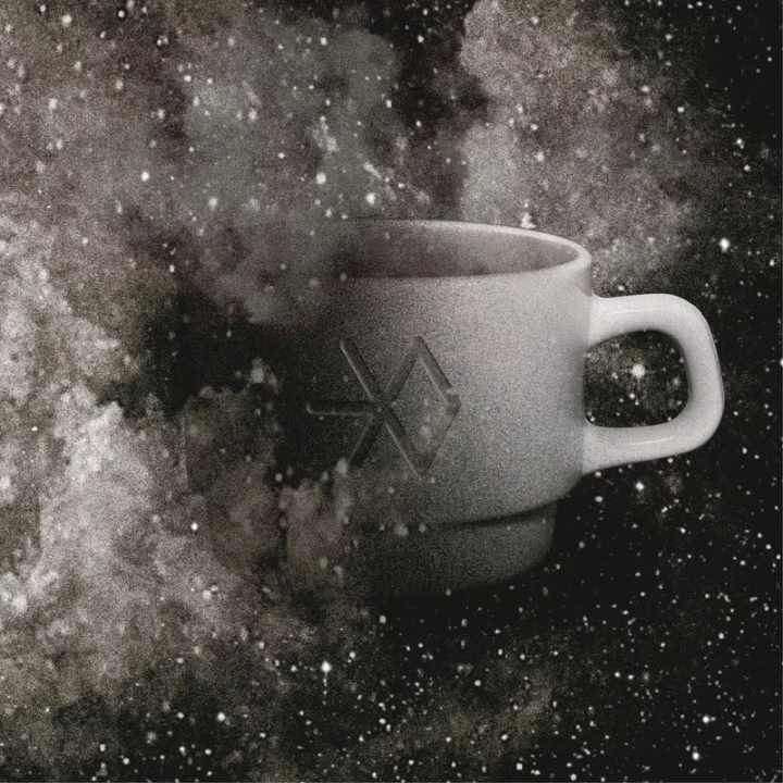 [图]EXO - Been Through (顺其自然)