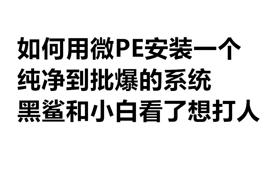 【第二期】如何用微PE和NT安装器安装一个纯净的windows系统哔哩哔哩bilibili