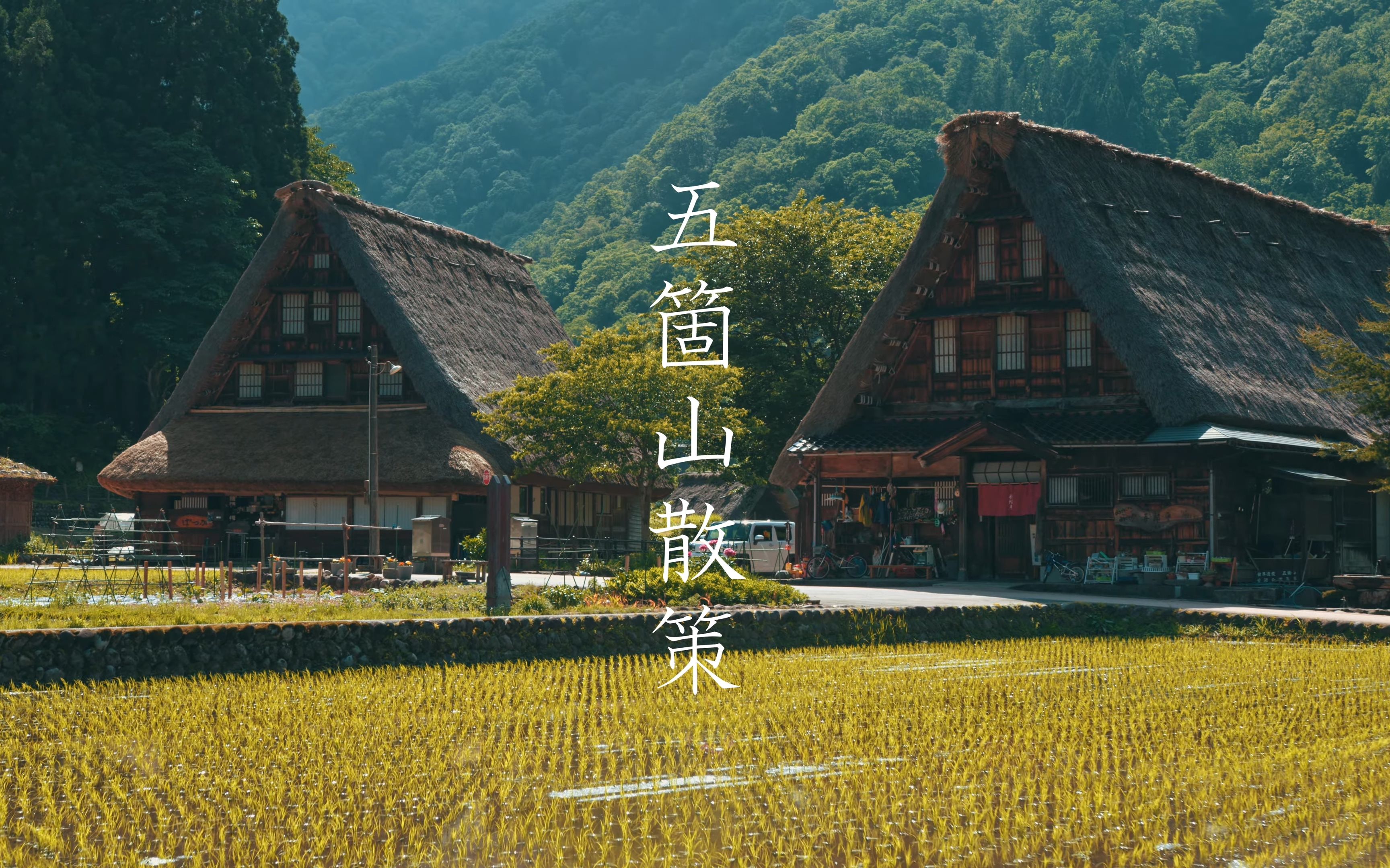 【世界遗产】日本富山县五个山的茅草屋哔哩哔哩bilibili